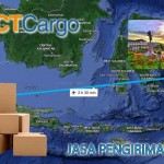 jasa pengiriman barang jakarta ambon