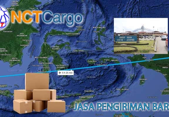 jasa pengiriman barang jakarta jayapura