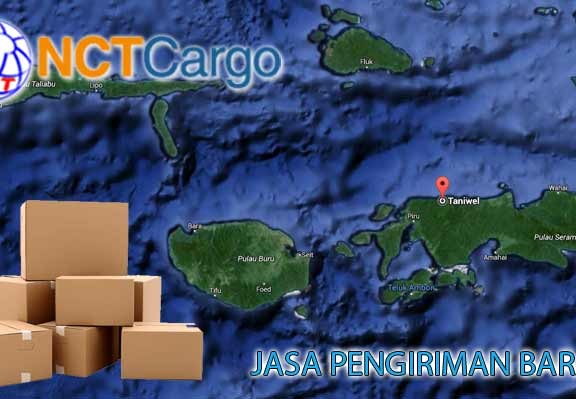 jasa pengiriman barang jakarta taniwel