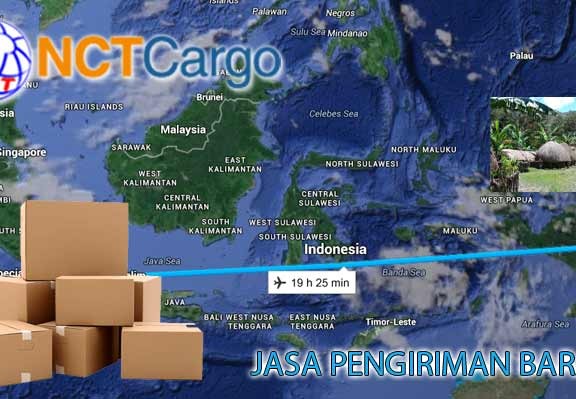 jasa pengiriman barang jakarta wamena