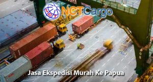 jasa ekspedisi murah ke Papua